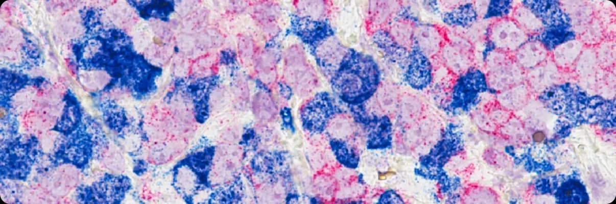 BioLogics