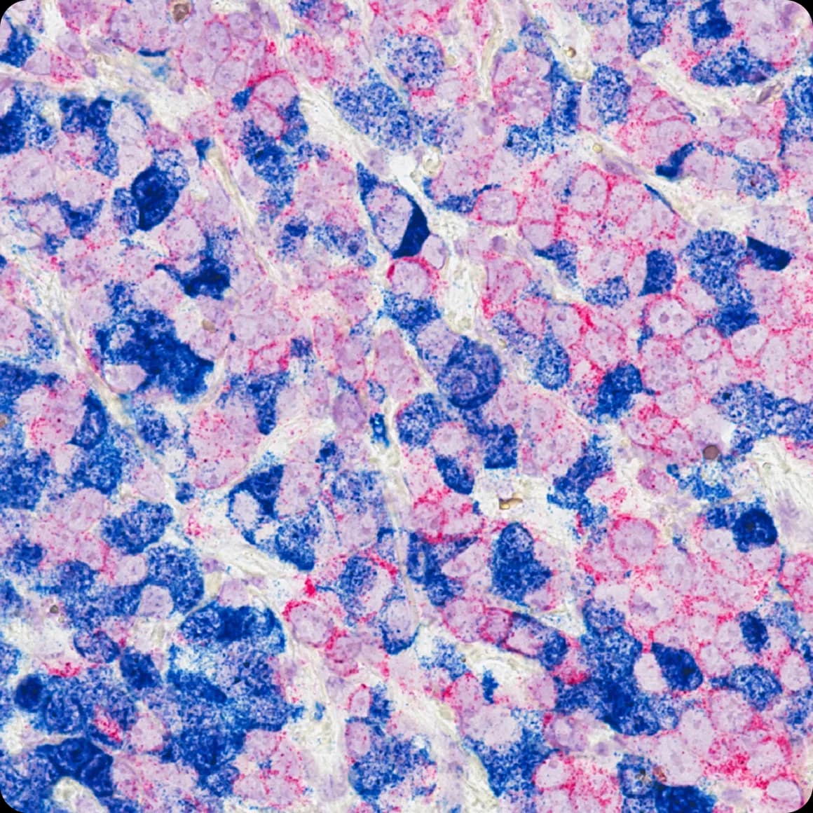 BioLogics